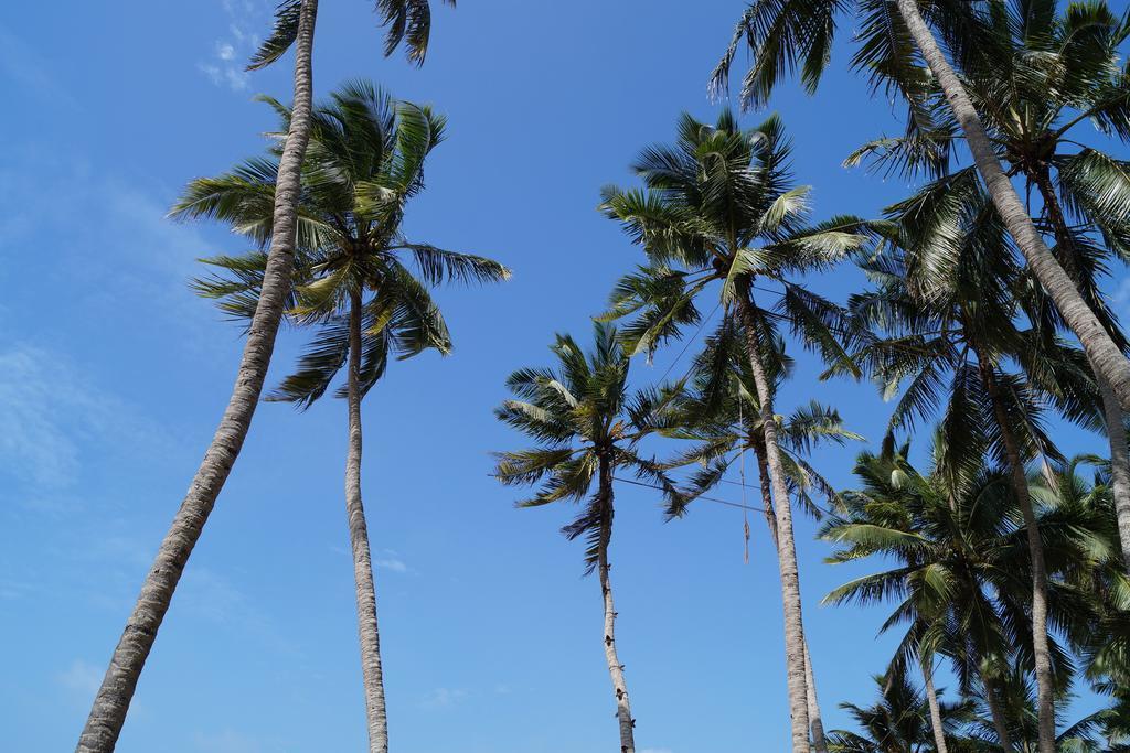 מאראווילה Sri Beach Bungalows And Villa מראה חיצוני תמונה